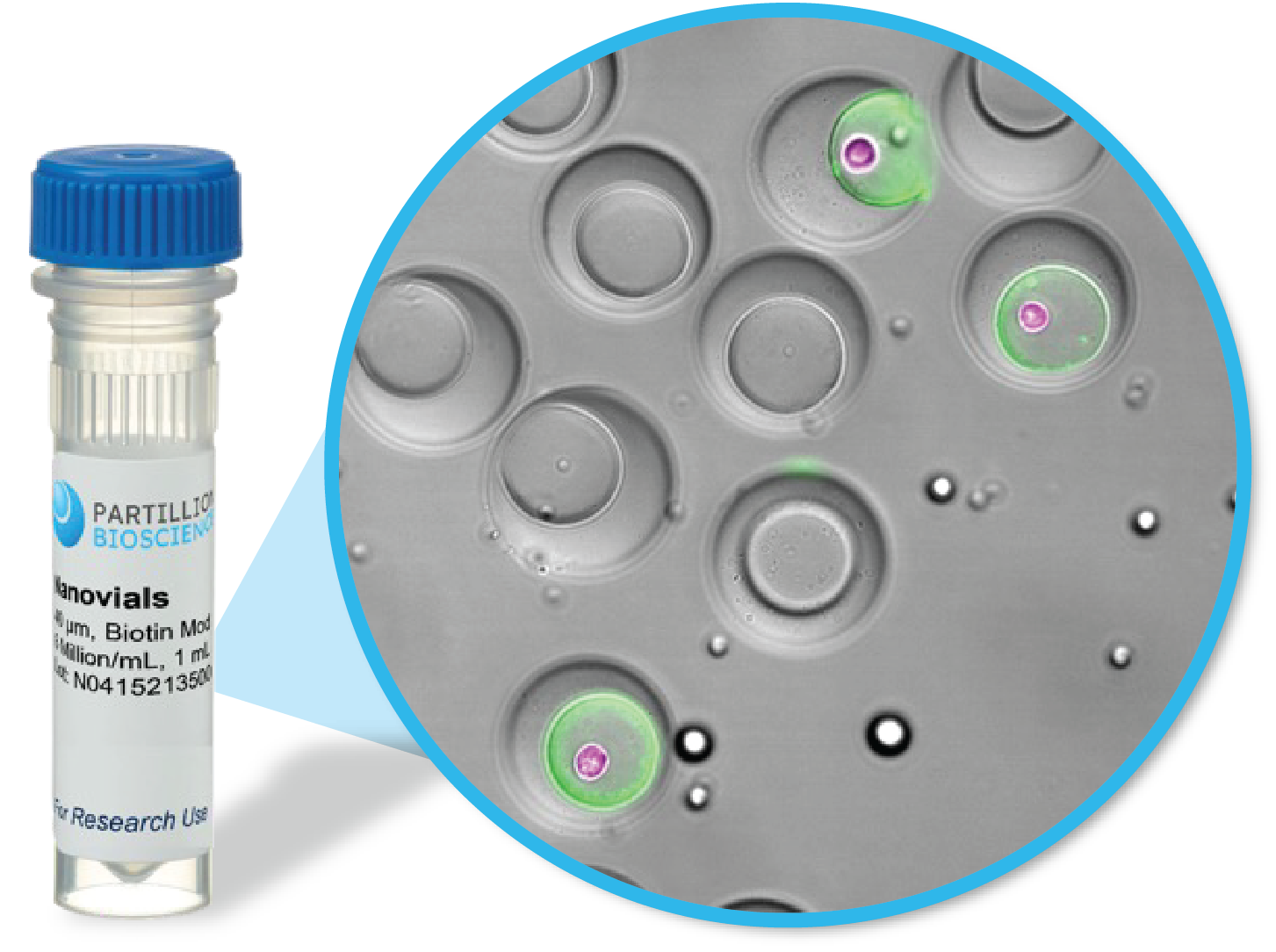 NanovialsInTube NanovialsInTube